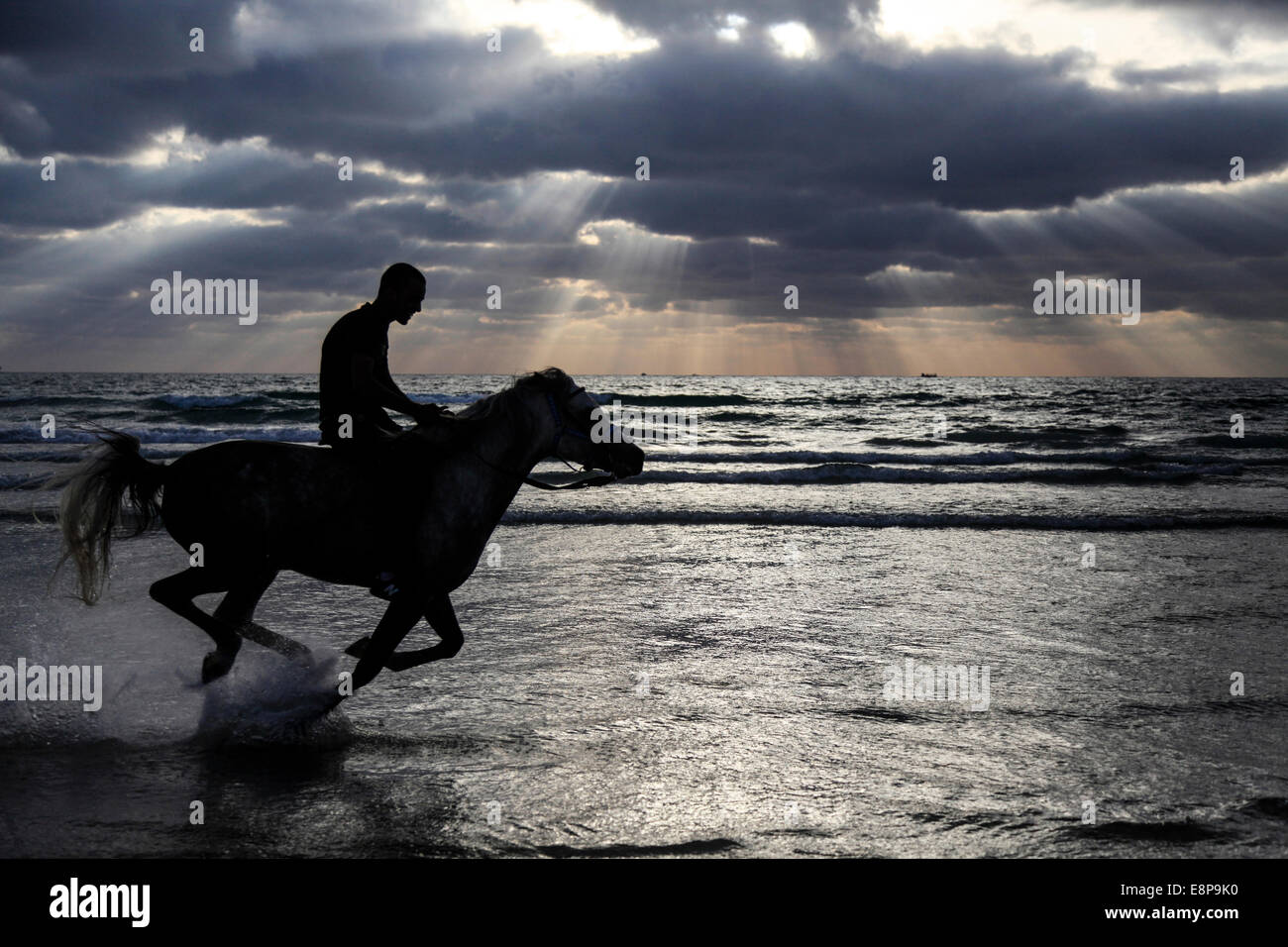 Silhouette of a man riding a horse on the beach Stock Photo - Alamy