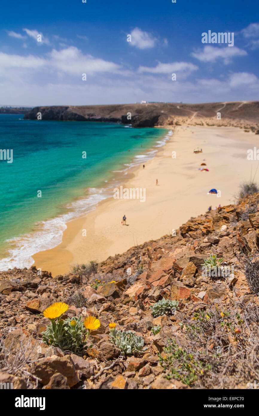 Papagayo beach in Lanzarote Stock Photo