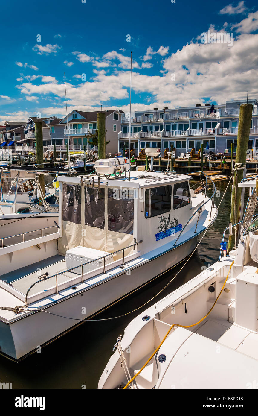 Boats and houses in the harbor at Point Pleasant Beach, New Jersey