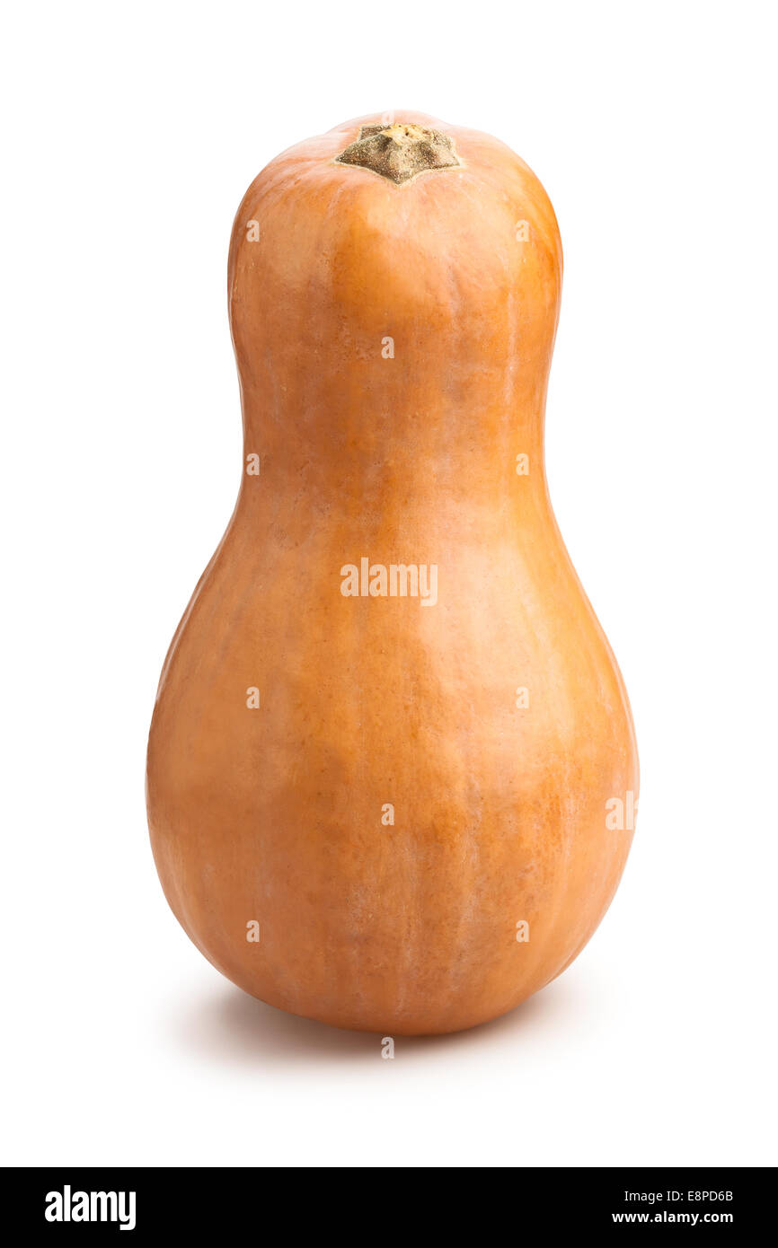 butternut squash isolated Stock Photo Alamy