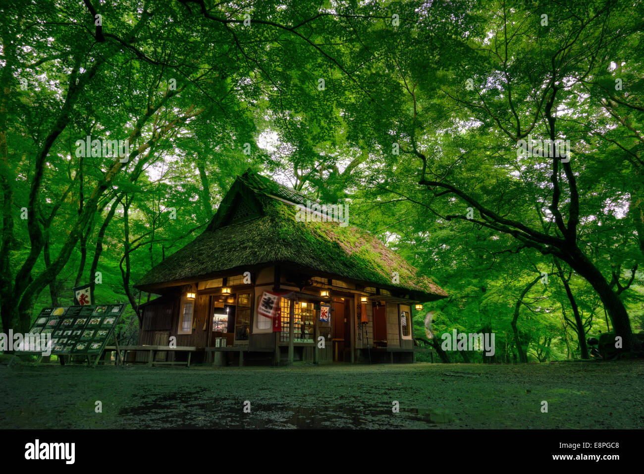 Mizuya Chaya Tea House in Nara, Japan Stock Photo: 74254552 - Alamy