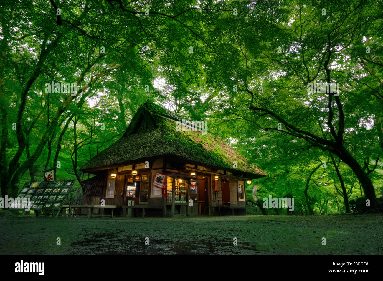 The traditional little old Mizuya Chaya Tea House in Nara Park, Japan in the lush forest near Kasuga Grand Shrine Stock Photo