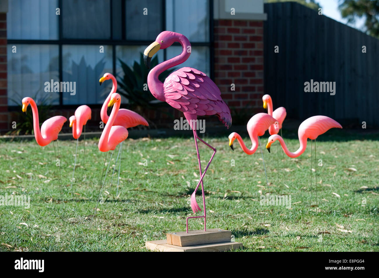 lawn flamingos Stock Photo