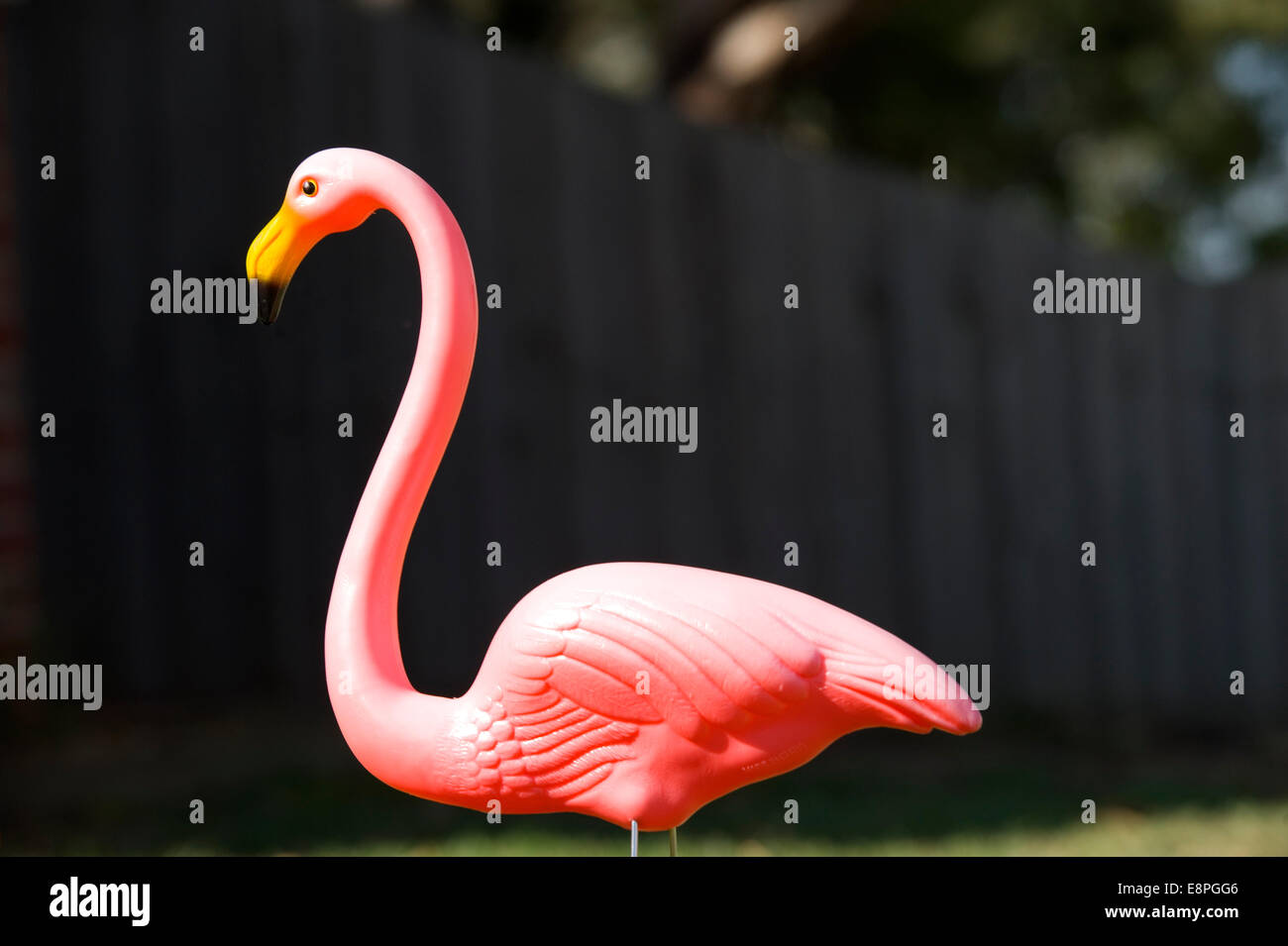 lawn flamingos Stock Photo