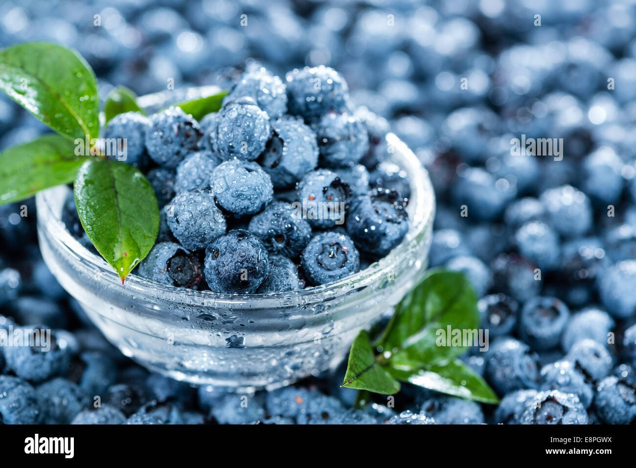 Heap of fresh harvested Blueberries (with water drops) Stock Photo