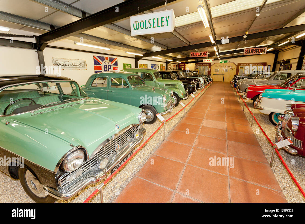 'Memory Lane' - a collection of 1950s & 1960s classic cars ...