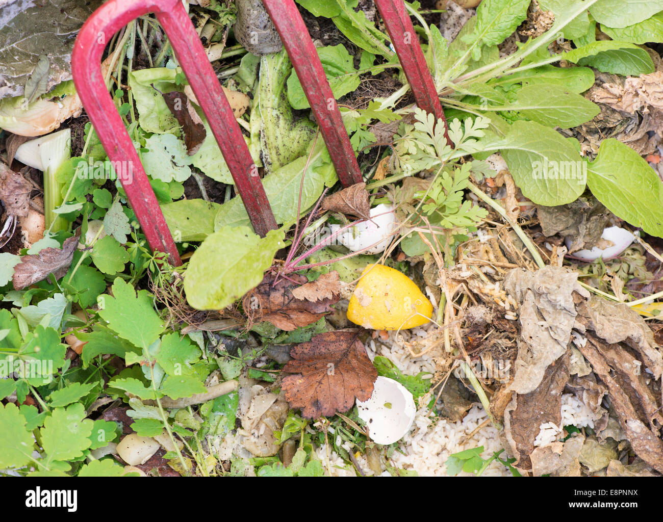 Close up of compost bin in garden filled with plant waste Stock Photo