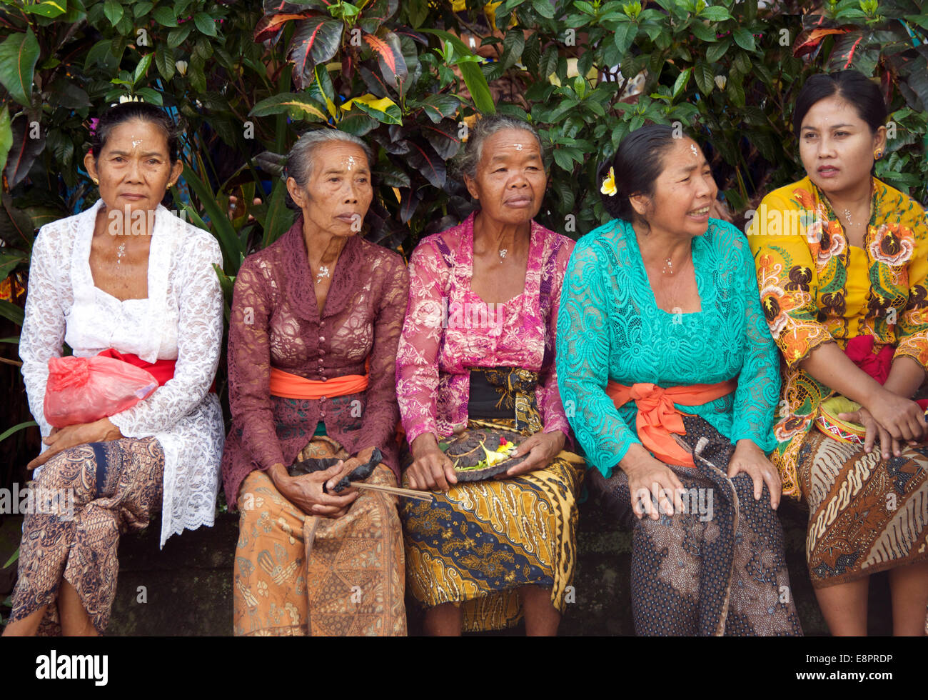 Row of old ladies watching procession Ubud Bali Indonesia Stock Photo ...