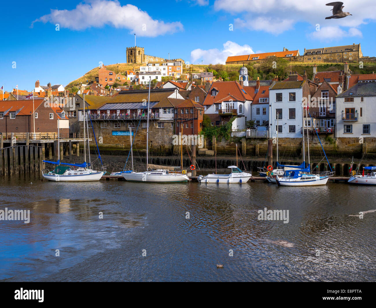 Sailing boats at the private moorings of the Whitby Yacht Club with houses and St Marys Church behind Stock Photo