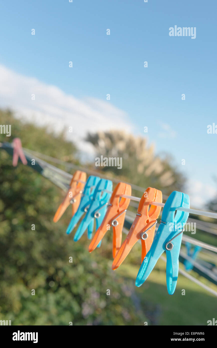Clothes pegs on a rotary line airer Stock Photo Alamy