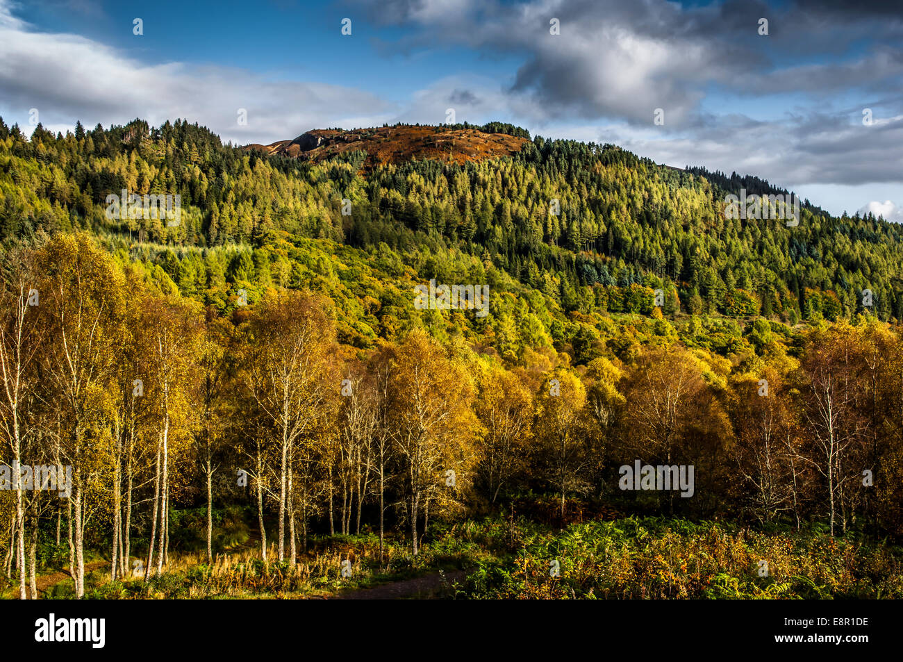 Autumn in the Scottish Highlands Stock Photo
