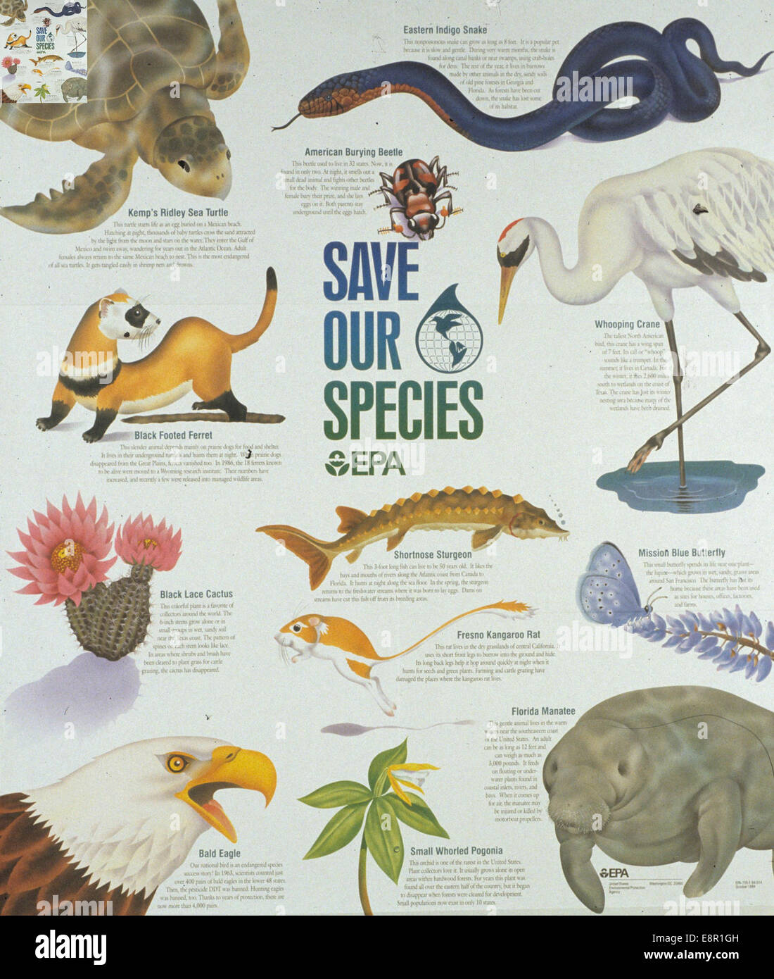 Contributor United States Environmental Protection Agency. Publication Date