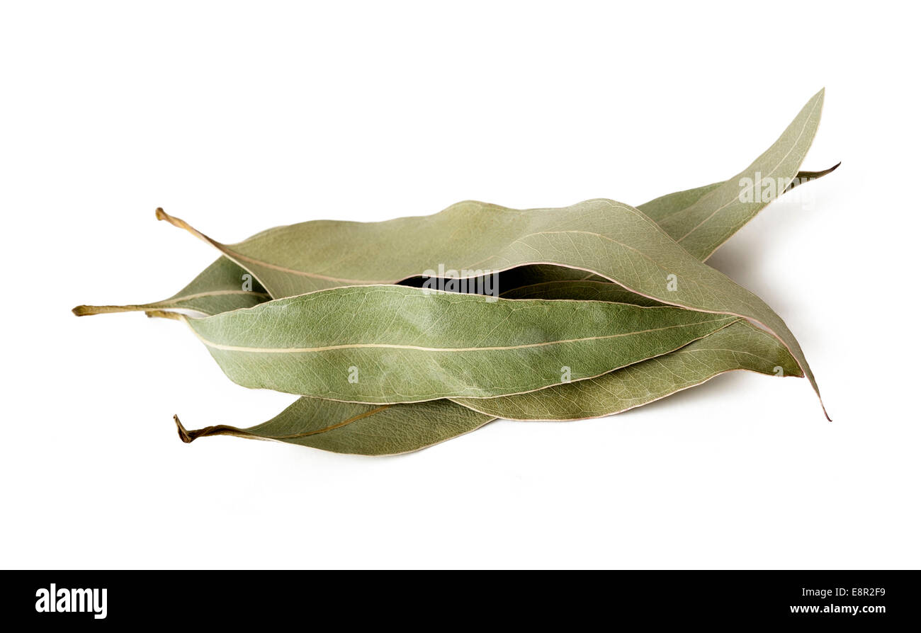Eucalyptus leaves hi-res stock photography and images - Alamy