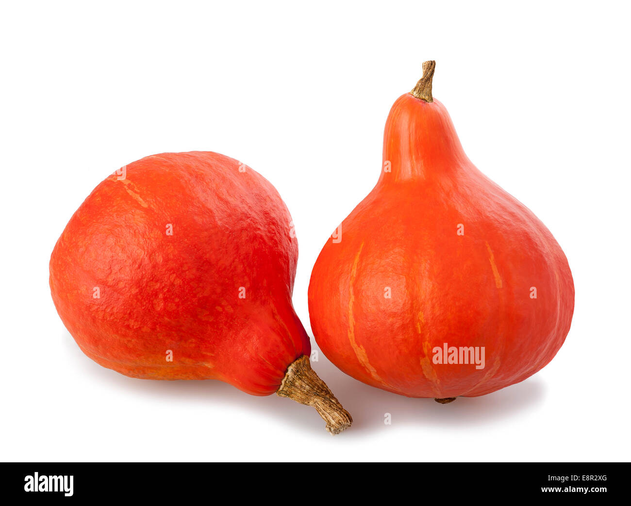 Red kuri squashes Cut Out Stock Images & Pictures - Alamy