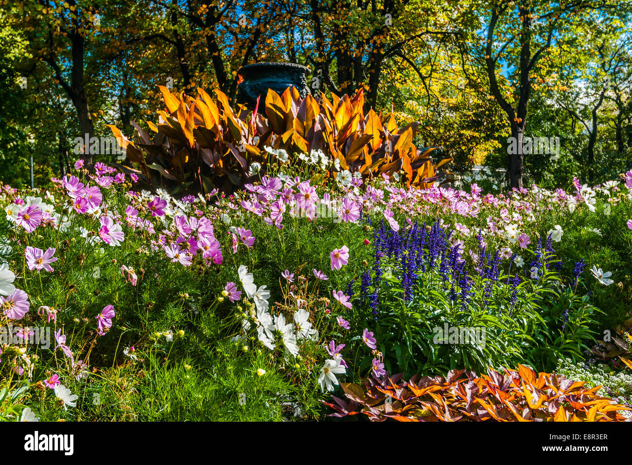 Flowerbed in Moscow Gorky park. Pot-au-feu composition Stock Photo