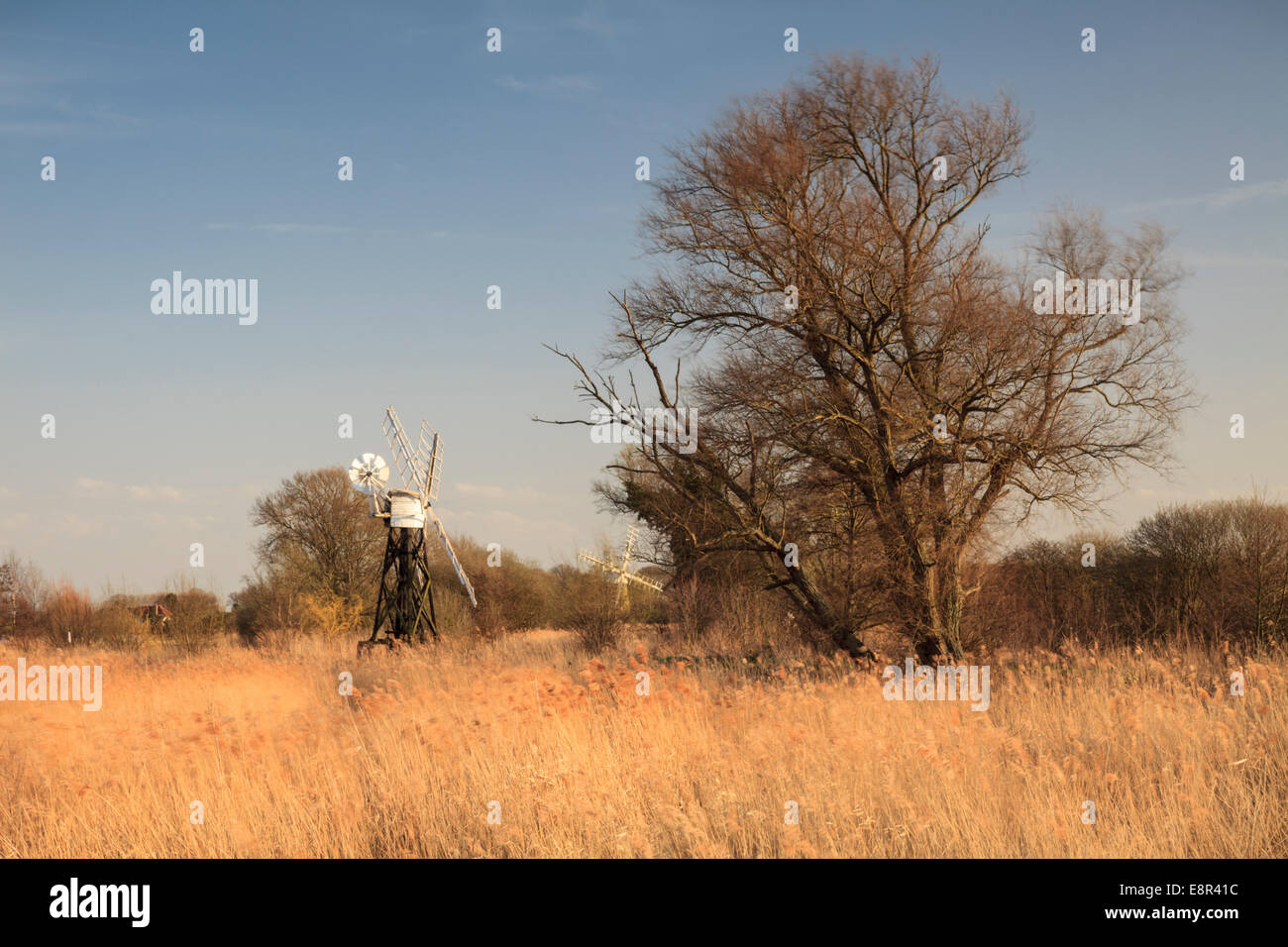 How Hill marshes in the Broads National Park, Norfolk Stock Photo