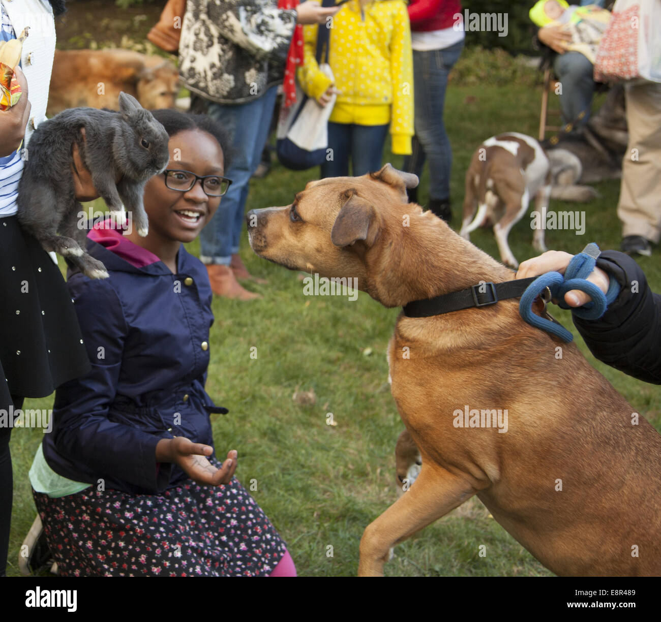 Blessing of the Animals service in an Episcopal church garden in Brooklyn, NY. Stock Photo