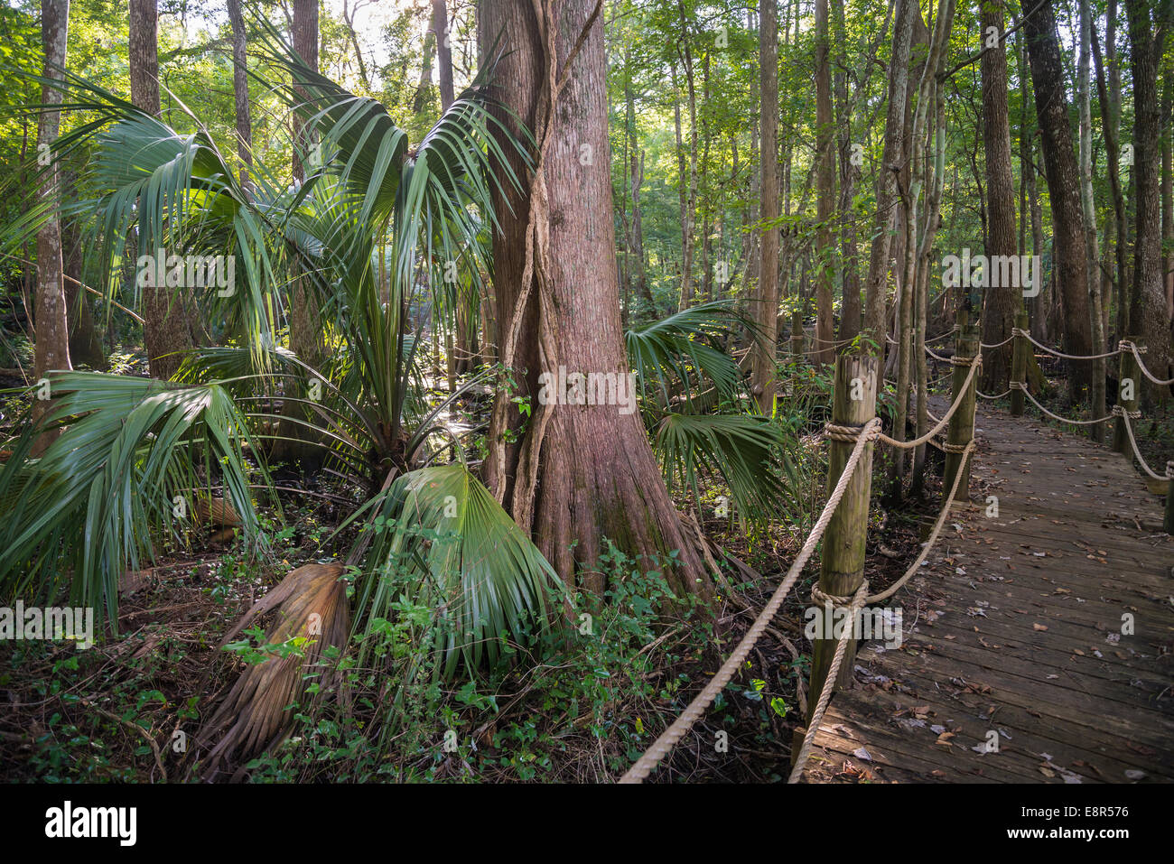 Camp Kulaqua Retreat Center has grown into one of the largest Seventh ...