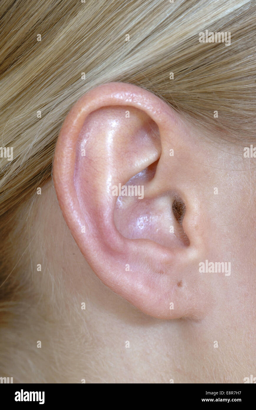 Ohr einer Frau, Detail (Modellfreigabe Stock Photo - Alamy