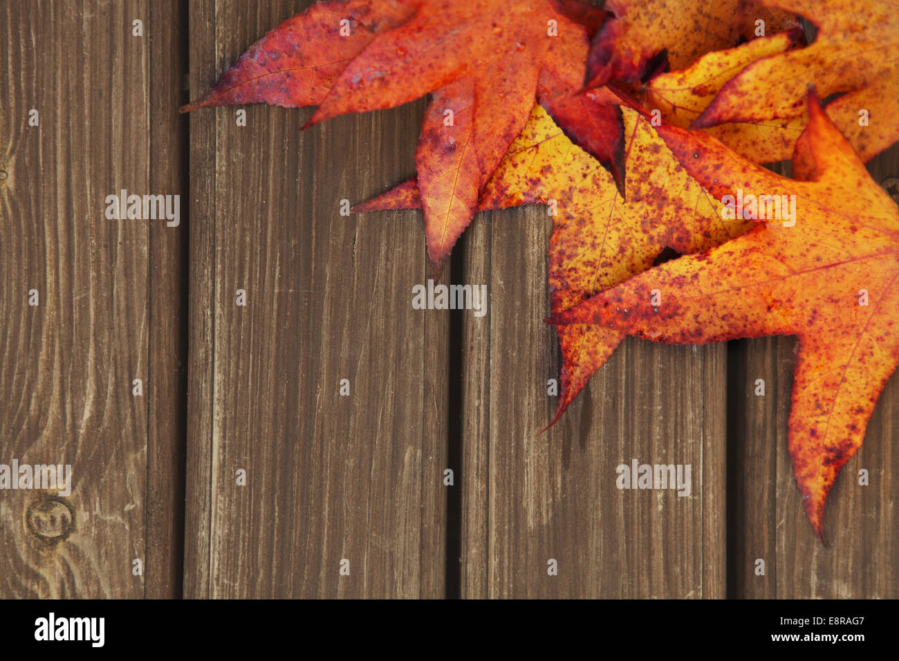 Autumn wooden background with maple leaves Stock Photo - Alamy