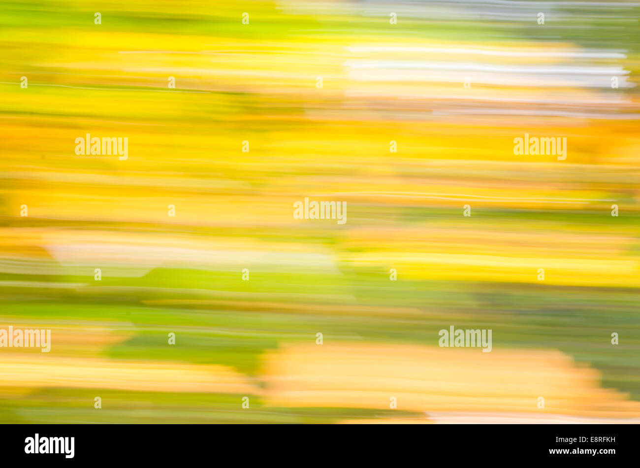 motion blur autumn background Stock Photo