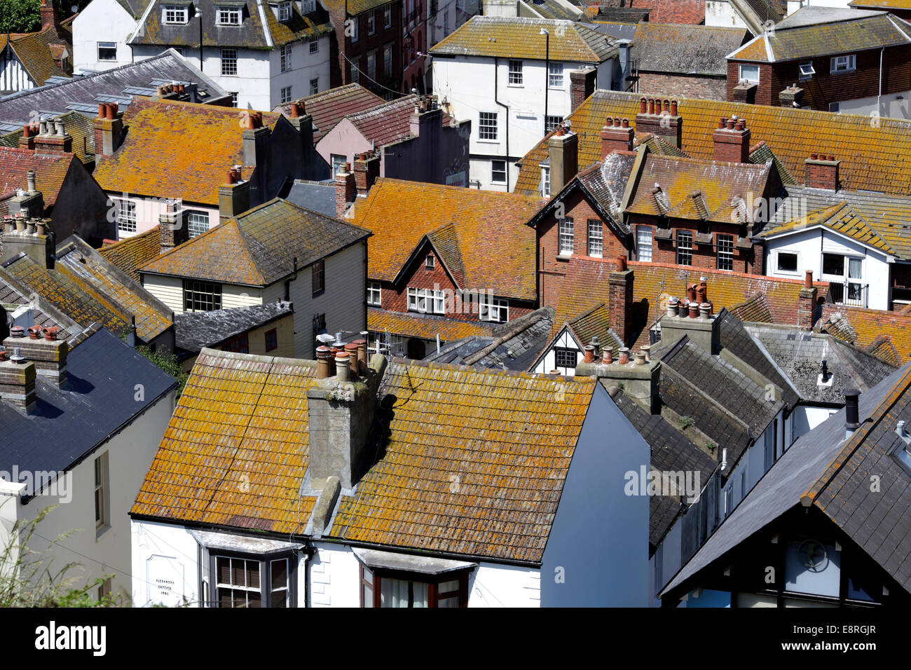 Lichens growing on roof tiles turn house roofs an untypical glowing tawny colour. Hastings Old Town, East Sussex. Stock Photo