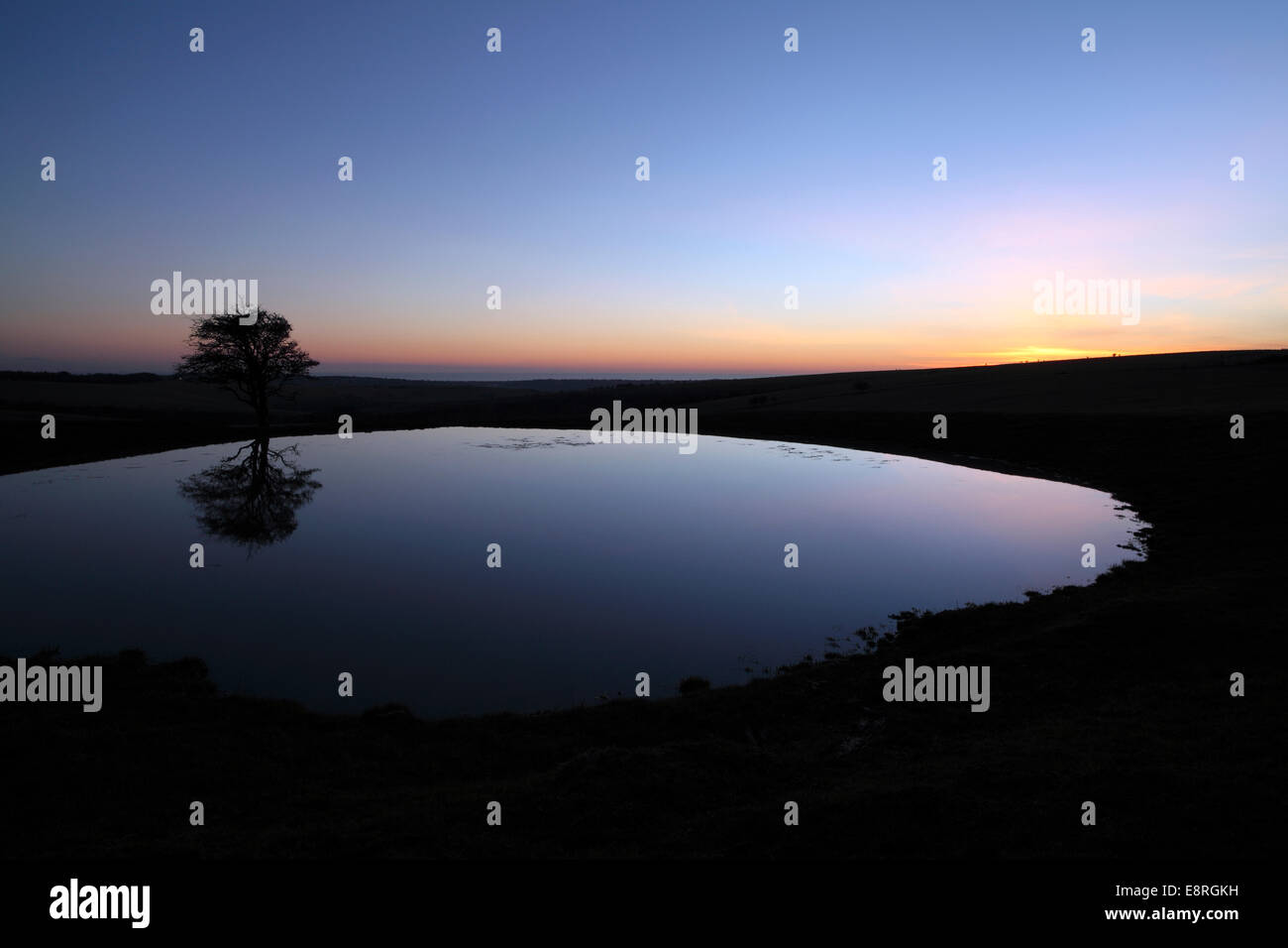 Dew pond on the South Downs at dusk. Stock Photo