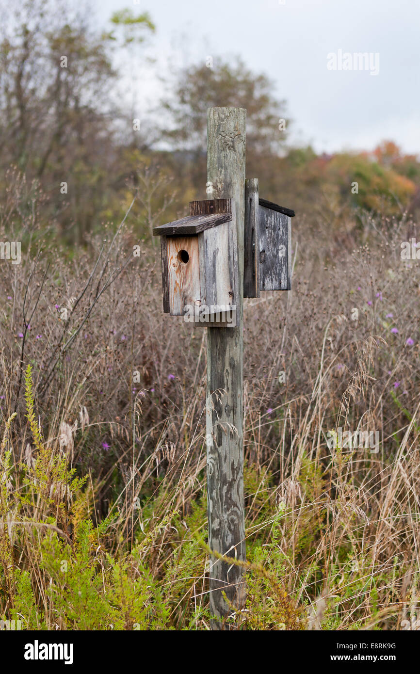 wooden birdhouse in field - Pennsylvania USA Stock Photo