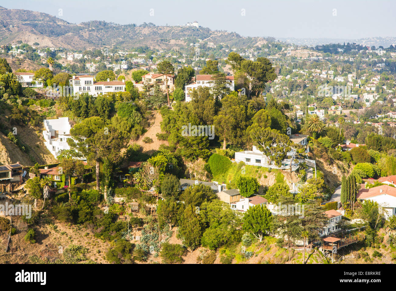 Houses & Griffith Observatory in background, Los Angeles, California