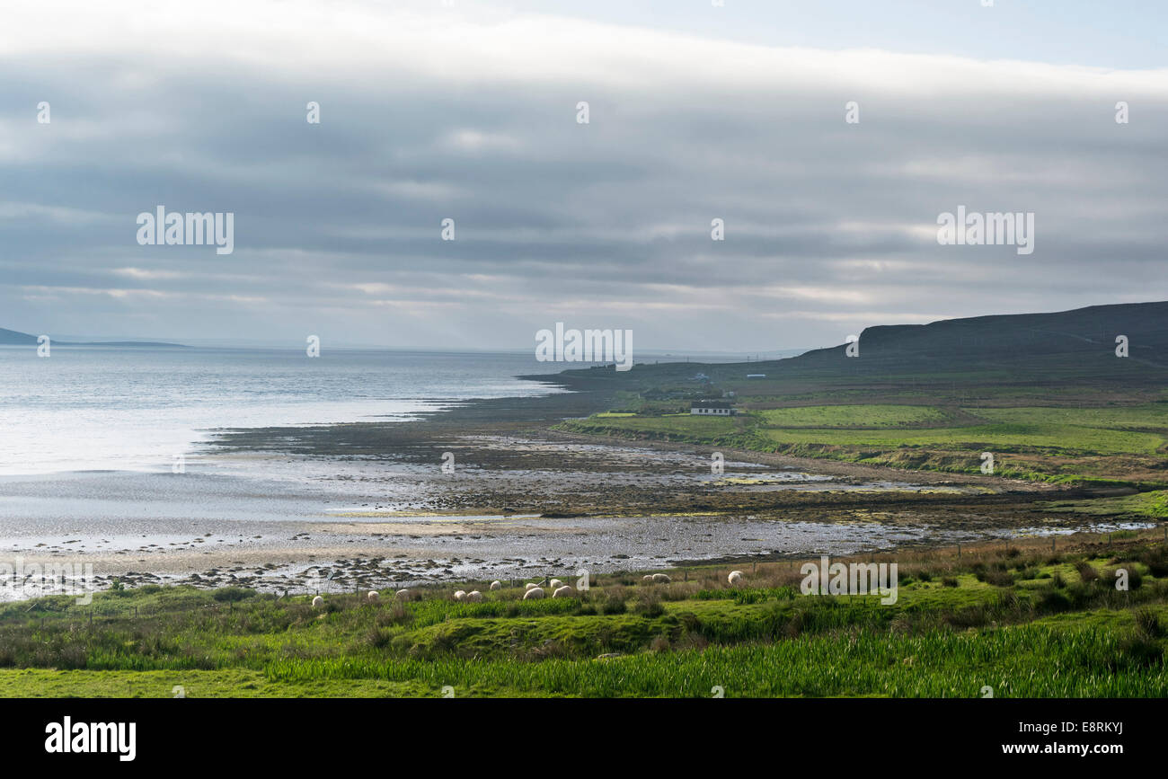 Hoy island, view over Scapa Flow near Moaness Pier, Orkney islands, Scotland. (Large format sizes available) Stock Photo