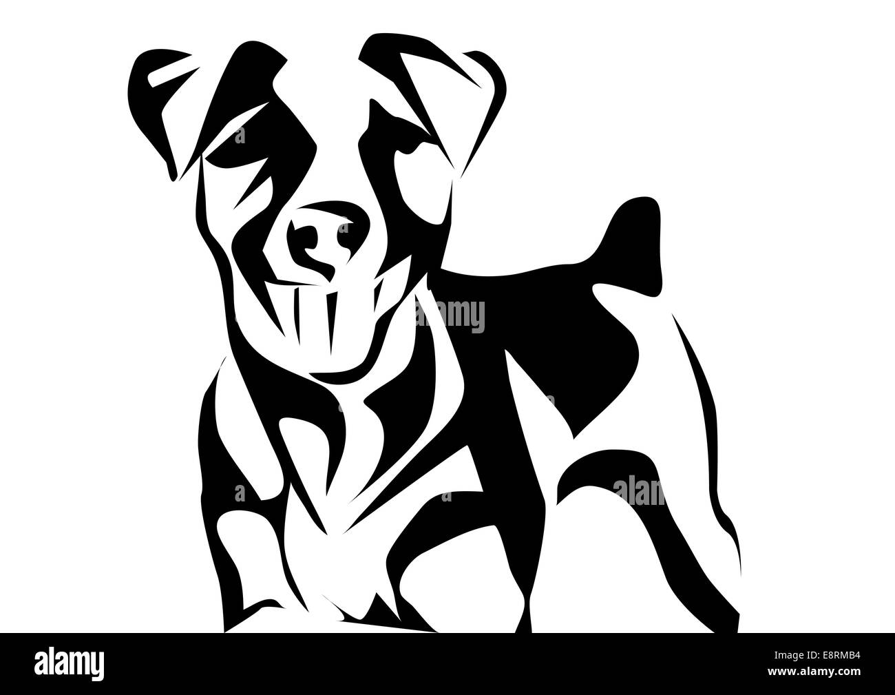 jack russell terrier Stock Photo - Alamy