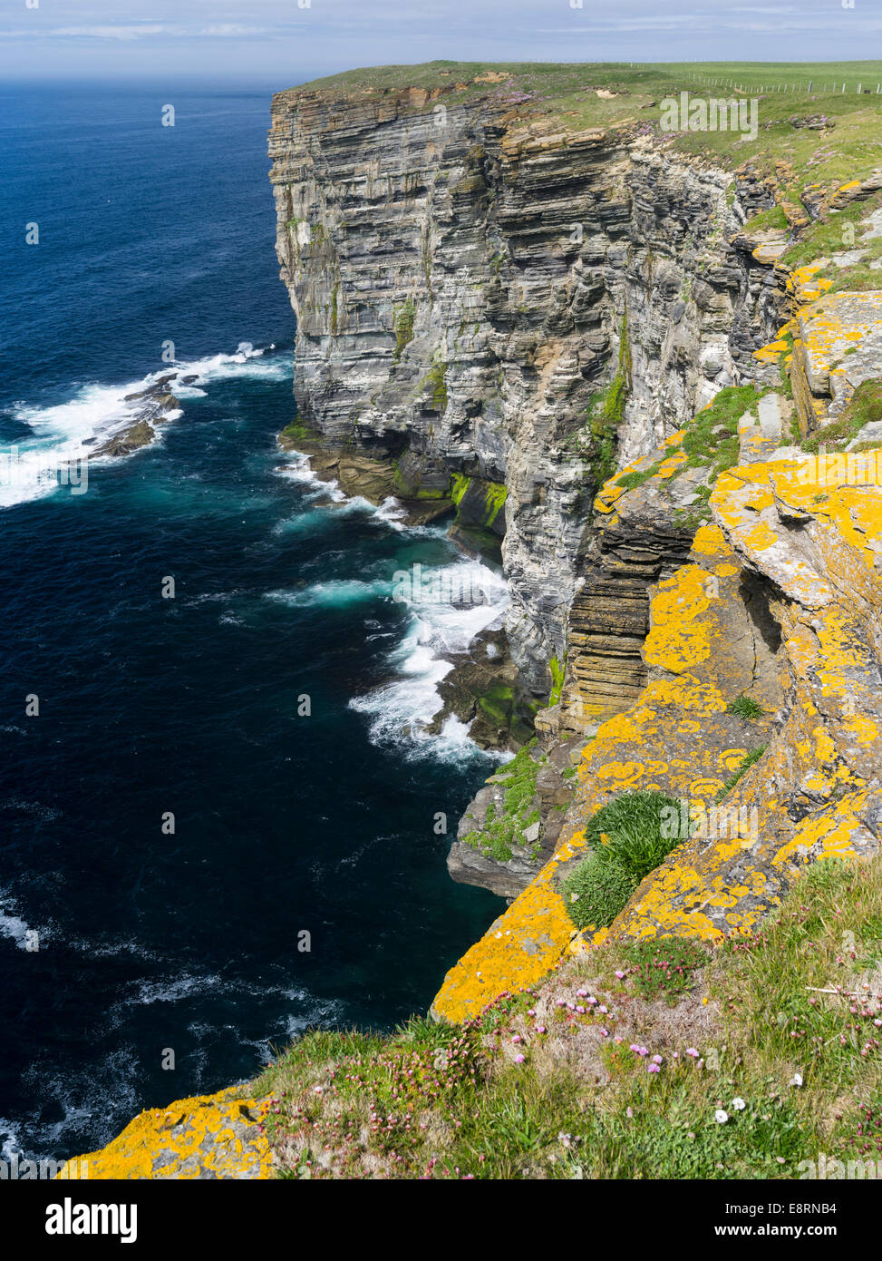 The Cliffs of Marwick Head, Orkney islands, Scotland. (Large format sizes available) Stock Photo