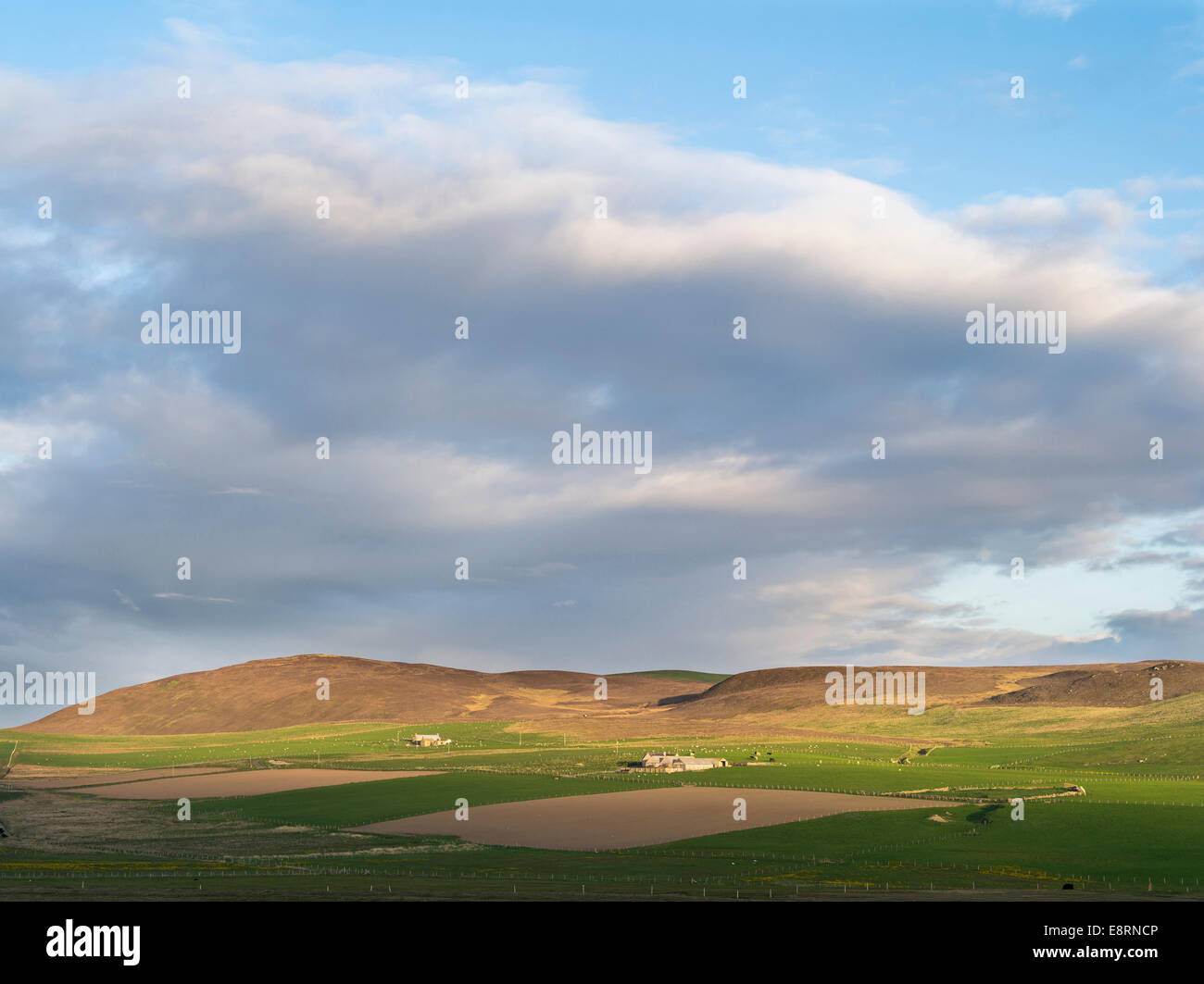 Landscape with farms, fields and hills during sunset, Orkney islands, Scotland. (Large format sizes available) Stock Photo