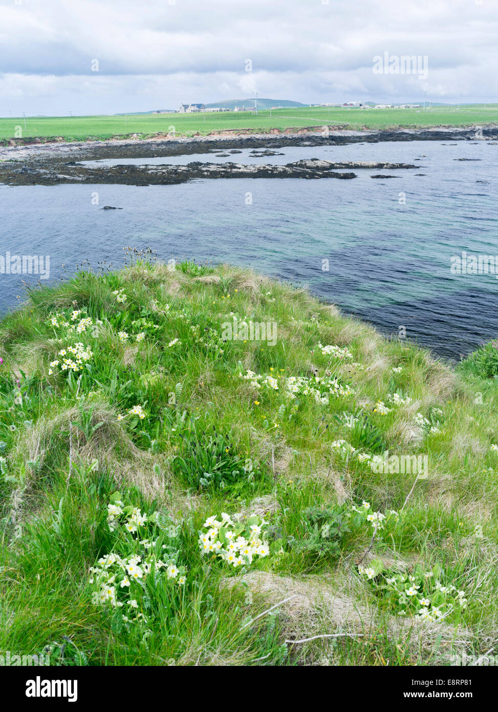 Landscape on Westray, a small island in the Orkney archipelago, Orkney islands, Scotland. (Large format sizes available) Stock Photo