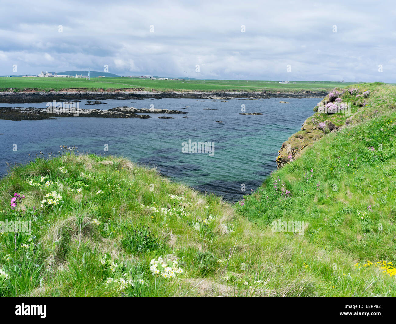 Landscape on Westray, a small island in the Orkney archipelago, Orkney islands, Scotland. (Large format sizes available) Stock Photo