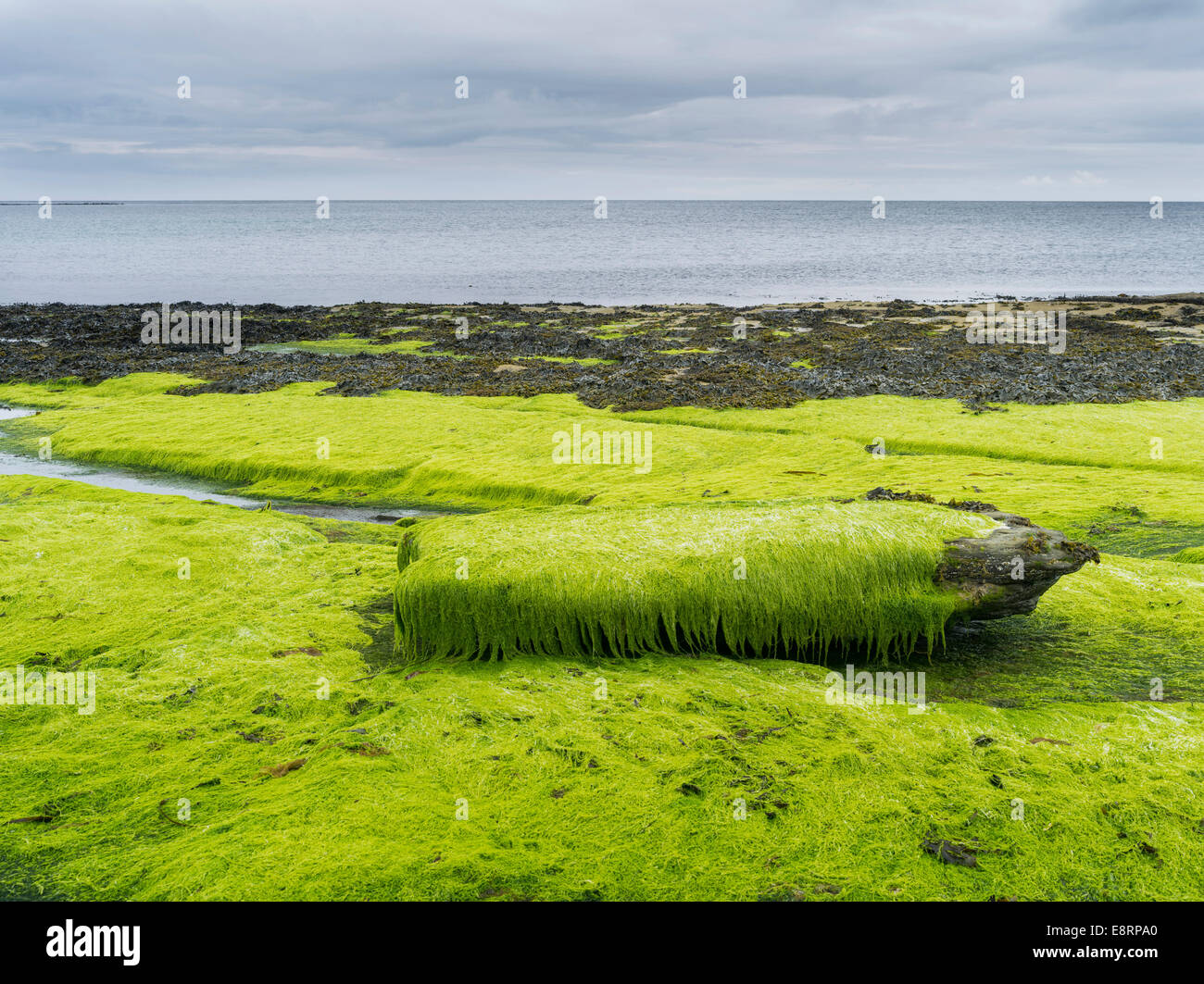Coastal landscape on Papa Westray, a small island in the Orkney archipelago, Orkney islands, Scotland. Stock Photo
