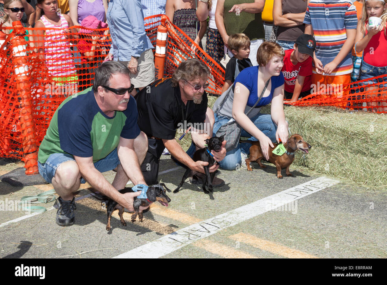 Owners holding their dogs at the starting line at the wiener dog race at Daly Days in Hamilton -Ravalli County, Montana, USA Stock Photo