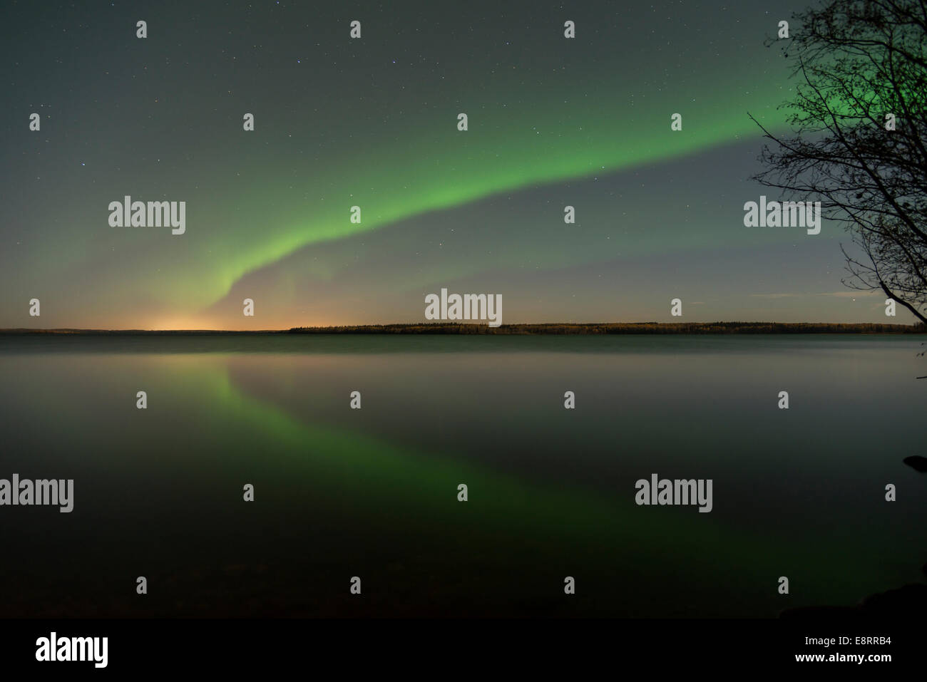 Norther lights with a reflection in the water with a silhouette of a tree. Stock Photo