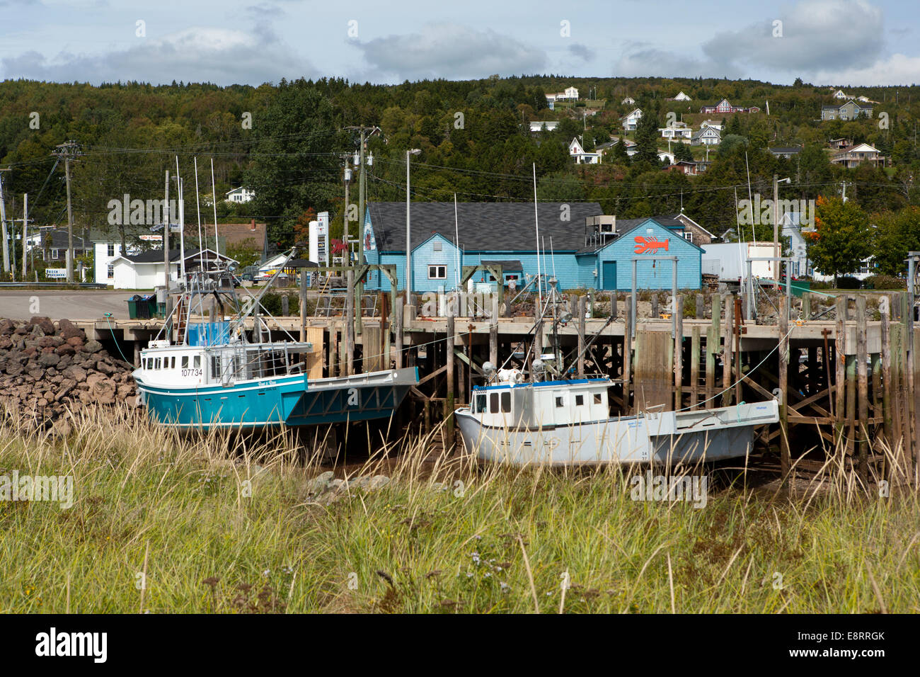 Alma Stock Photos & Alma Stock Images Alamy