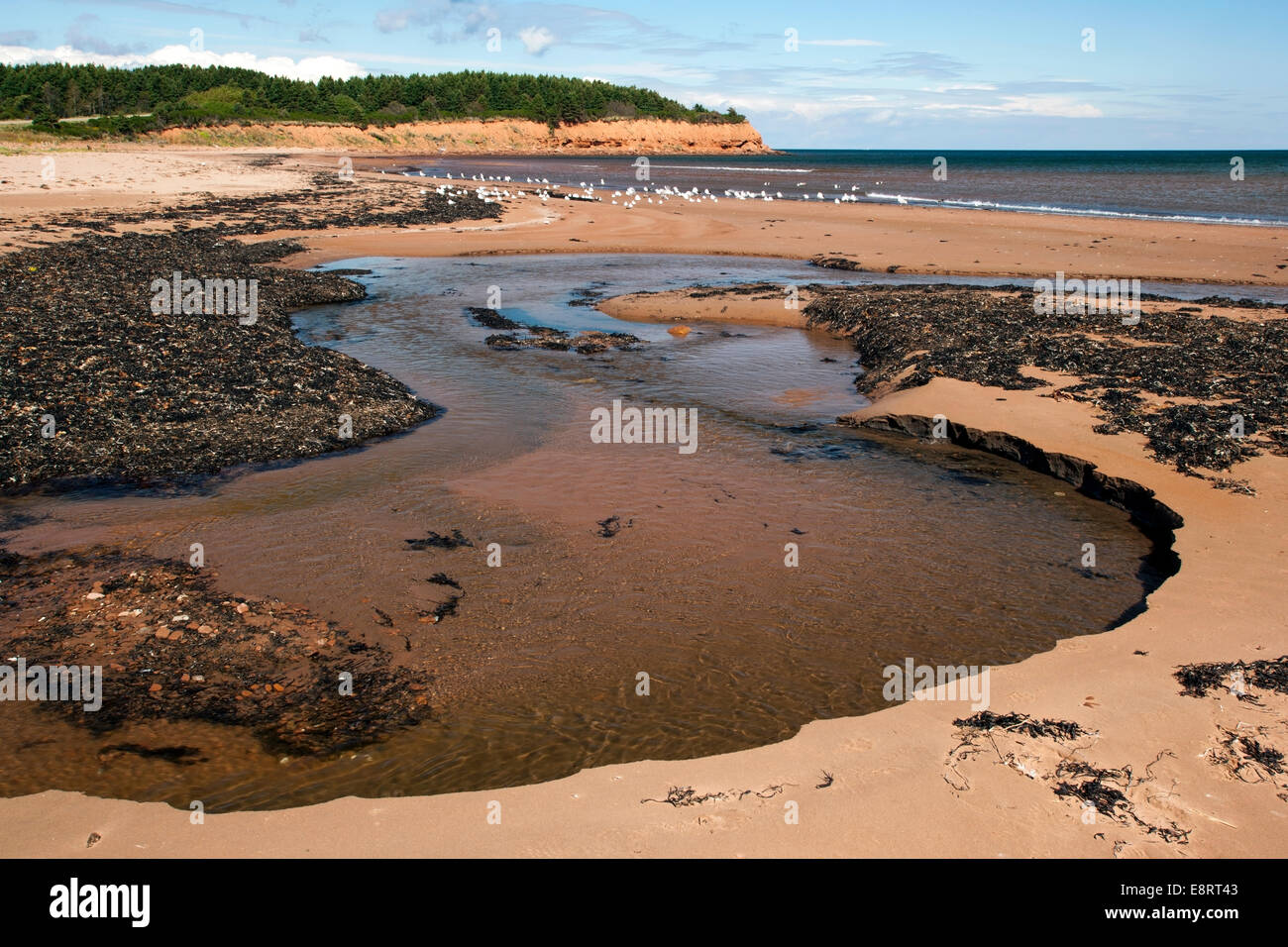 North rustico beach hires stock photography and images Alamy