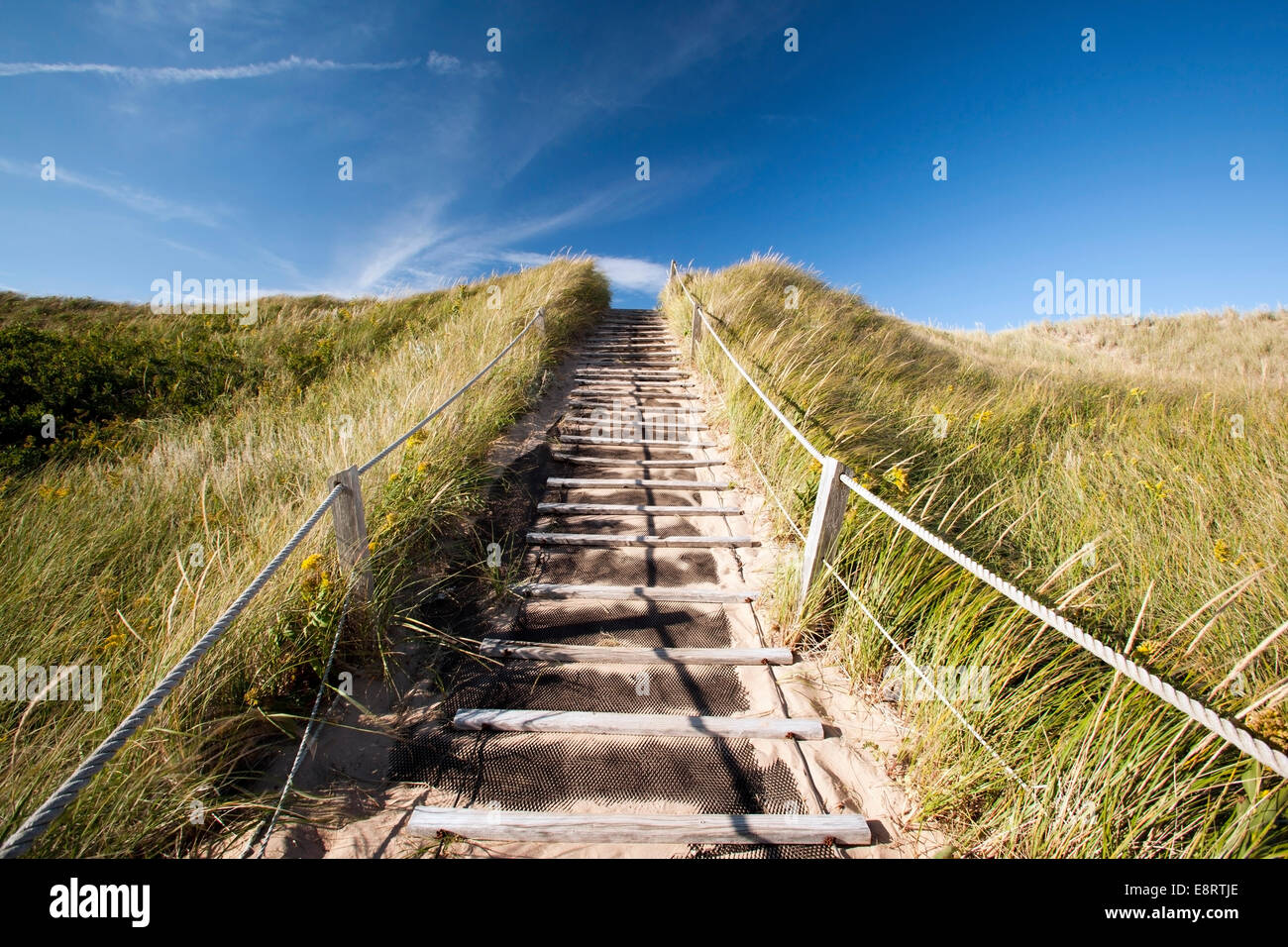 Greenwich Dunes Trail - Prince Edward Island, Canada Stock Photo