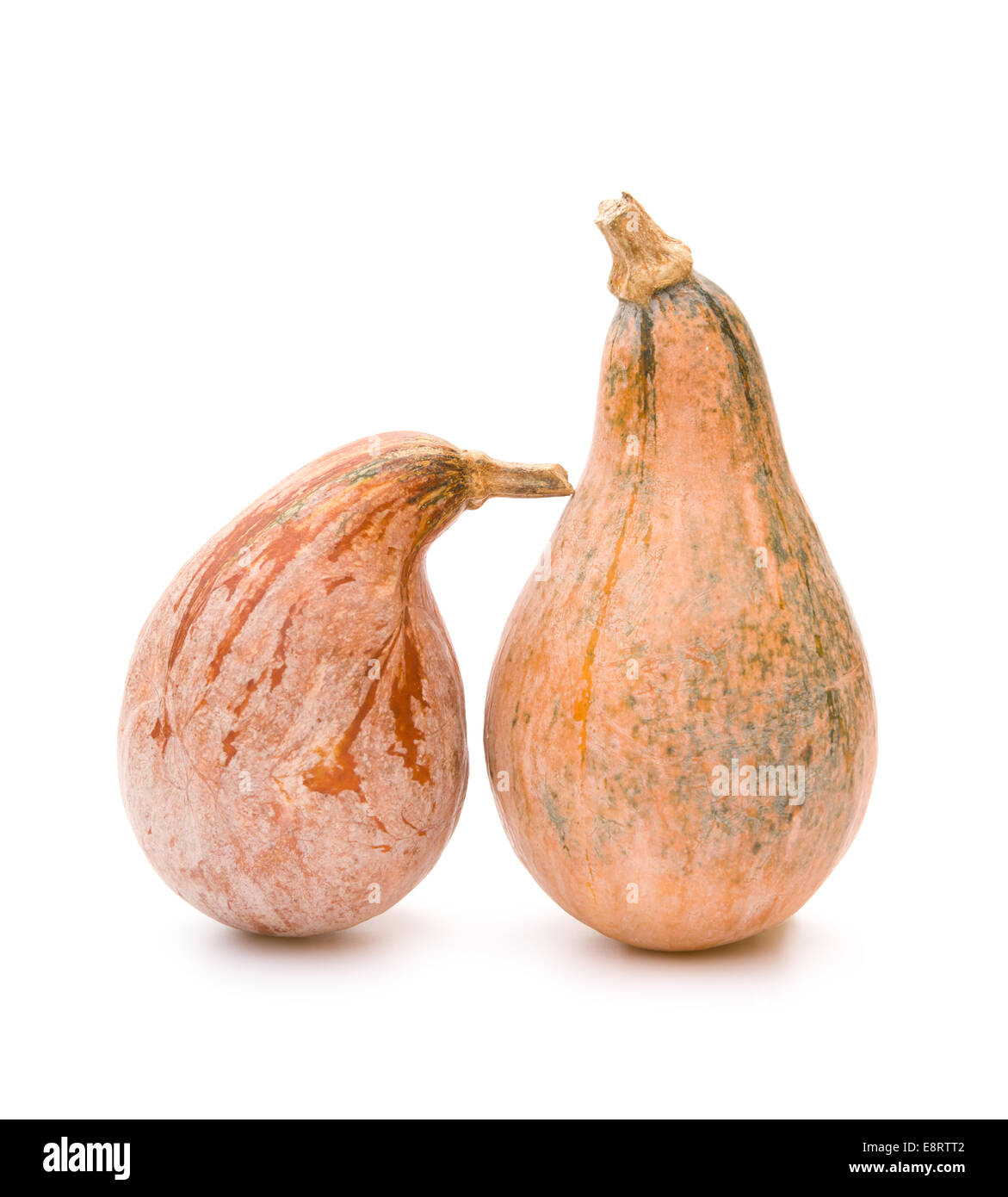 two ripe pumpkins stand up on a white background Stock Photo - Alamy