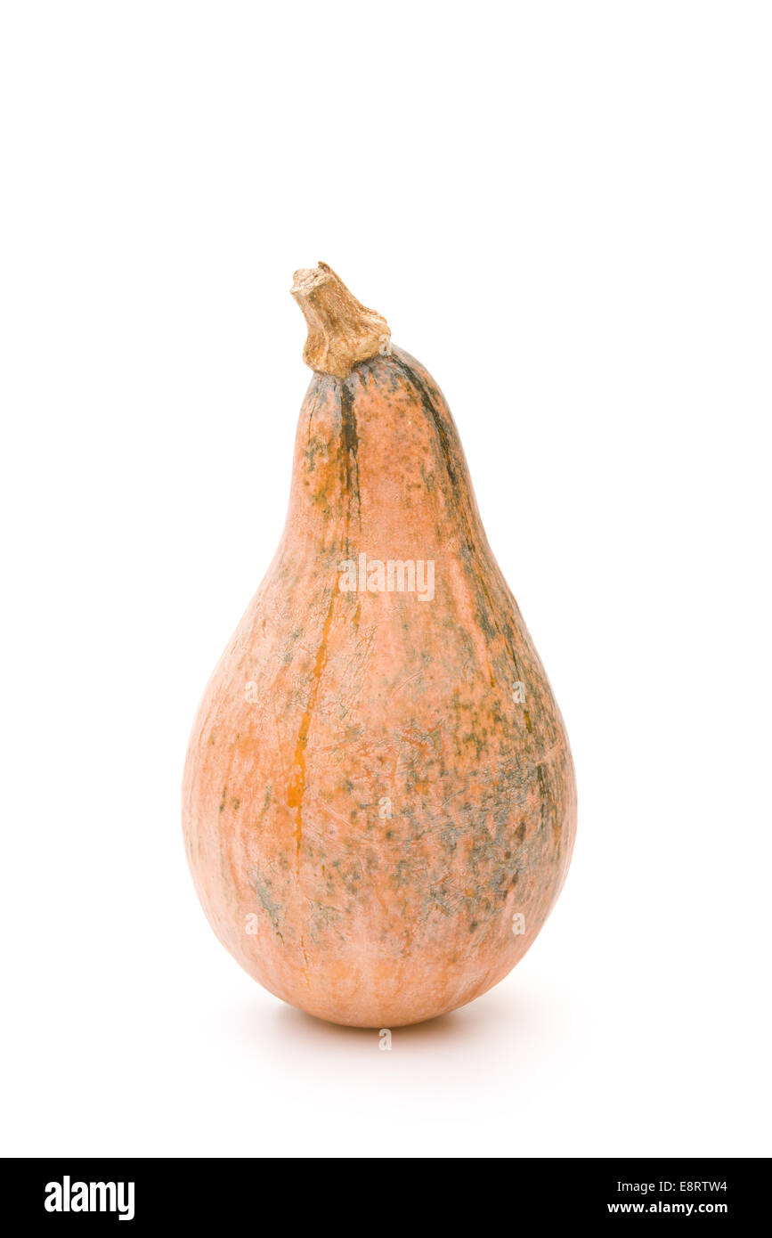 ripe pumpkin stands up on a white background Stock Photo - Alamy
