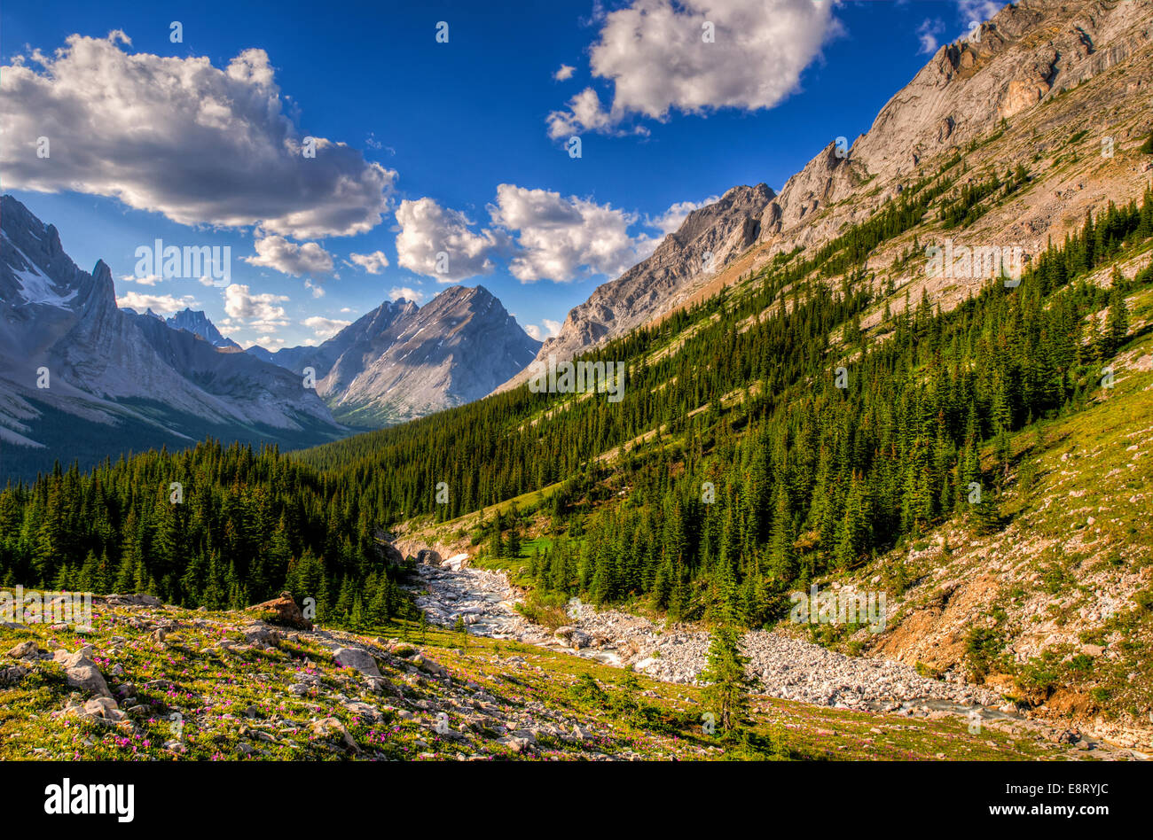 Scenic mountain hiking views, Rae Glacier and Elbow Lake area, Peter