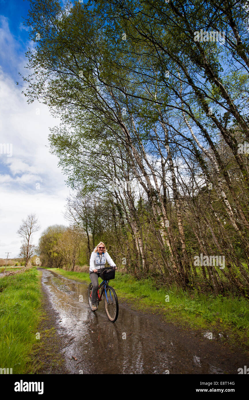 UK, England, Devon, Petrockstowe, middle aged, female cyclist on Tarka Trail Stock Photo