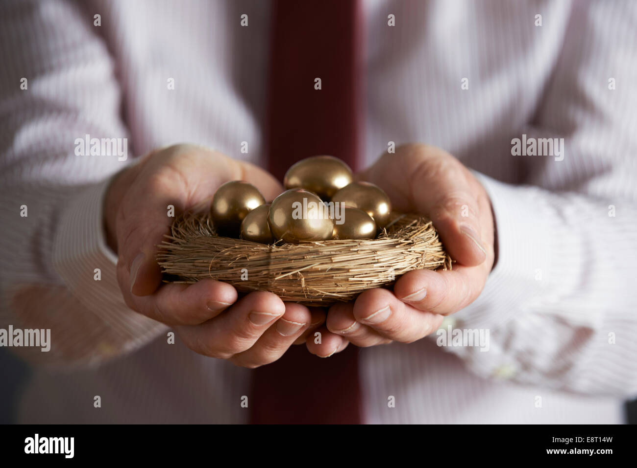 Golden Eggs High Resolution Stock Photography And Images Alamy Golden Eggs High Resolution Stock Photography And Images Alamy