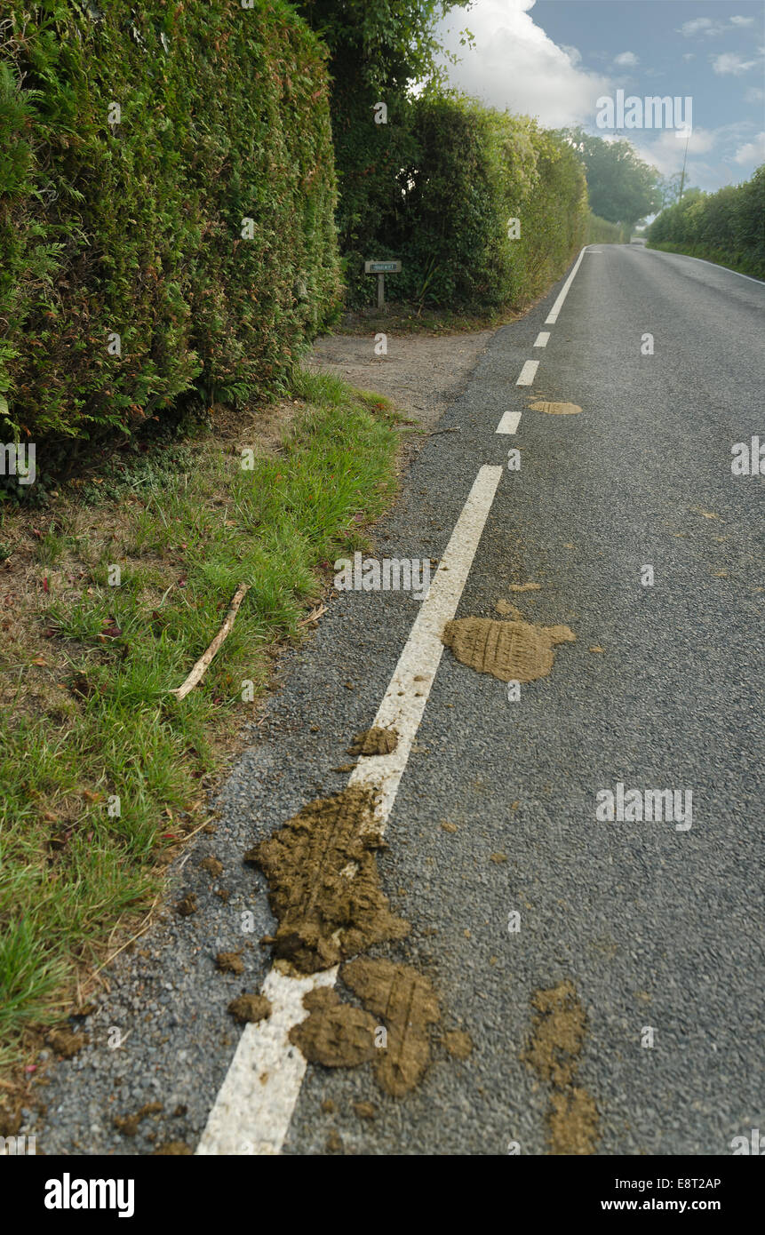Typical country lane scene with squashed horse manure on roadside slippery surface for cyclists Stock Photo