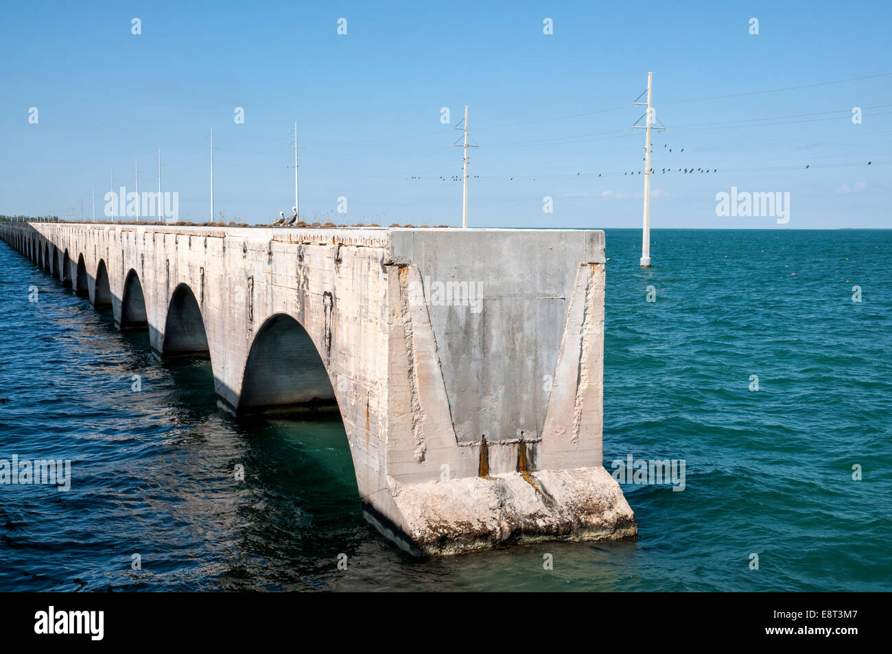 Old seven mile bridge in Florida Keys Stock Photo Alamy