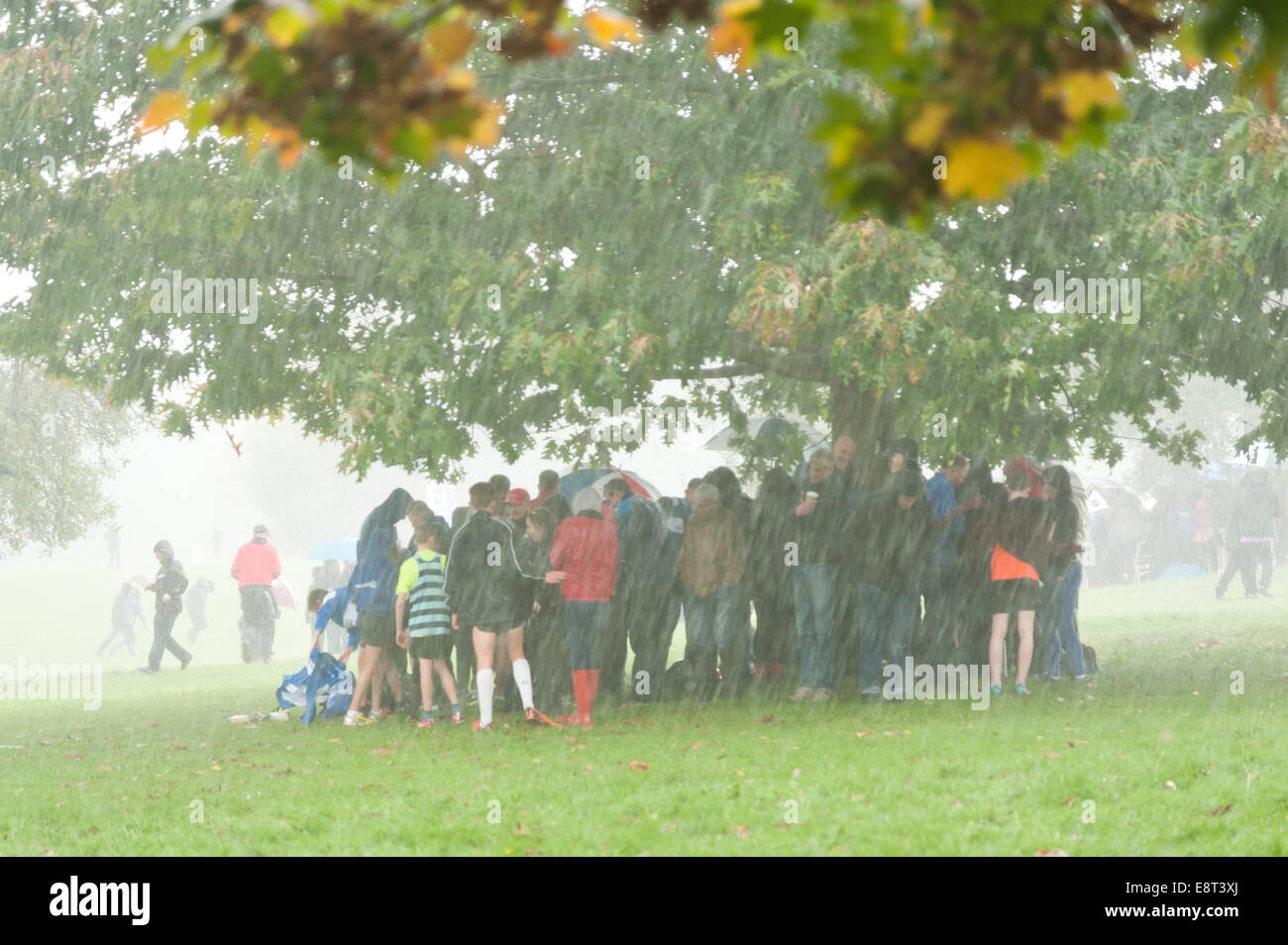Desperate measures to keep dry as extremely heavy downpour of rain and hail causes people crowds to shelter under trees Stock Photo