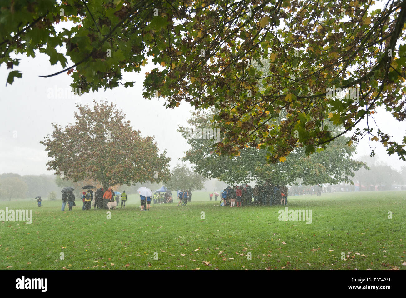 Desperate measures to keep dry as extremely heavy downpour of rain and hail causes people crowds to shelter under trees Stock Photo